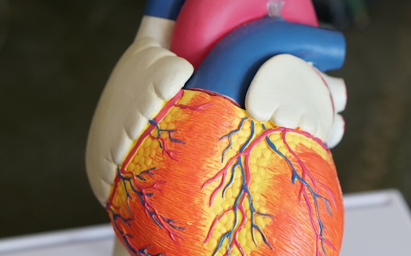 Wearable ECG Technology