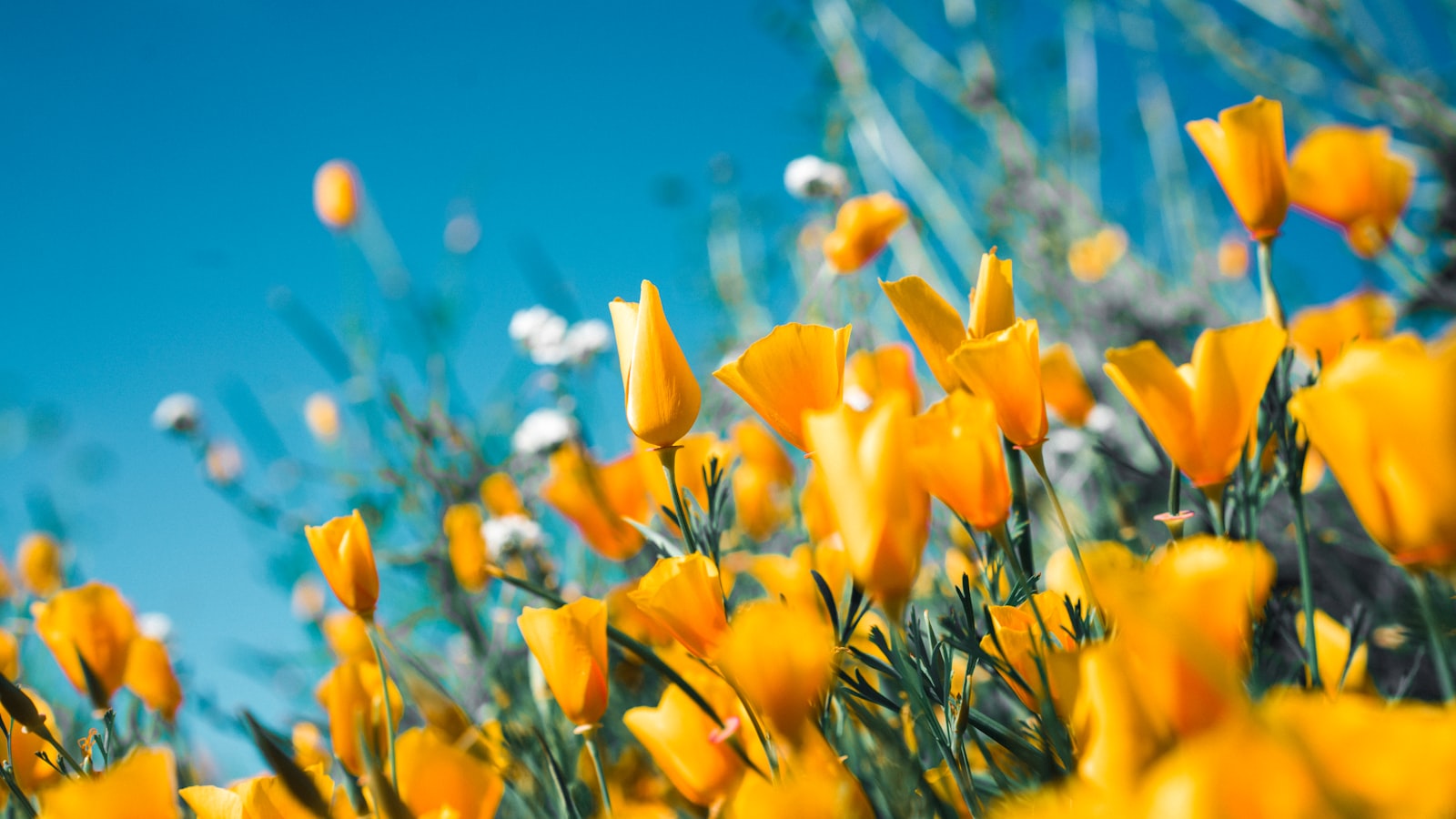 Perimenopause and the Changing Body